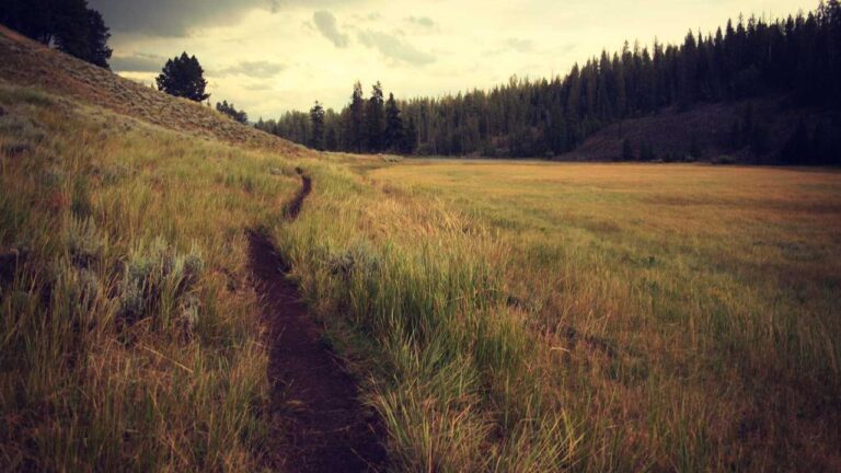 How Do I Open The 99Exch Com Id Login Portal?